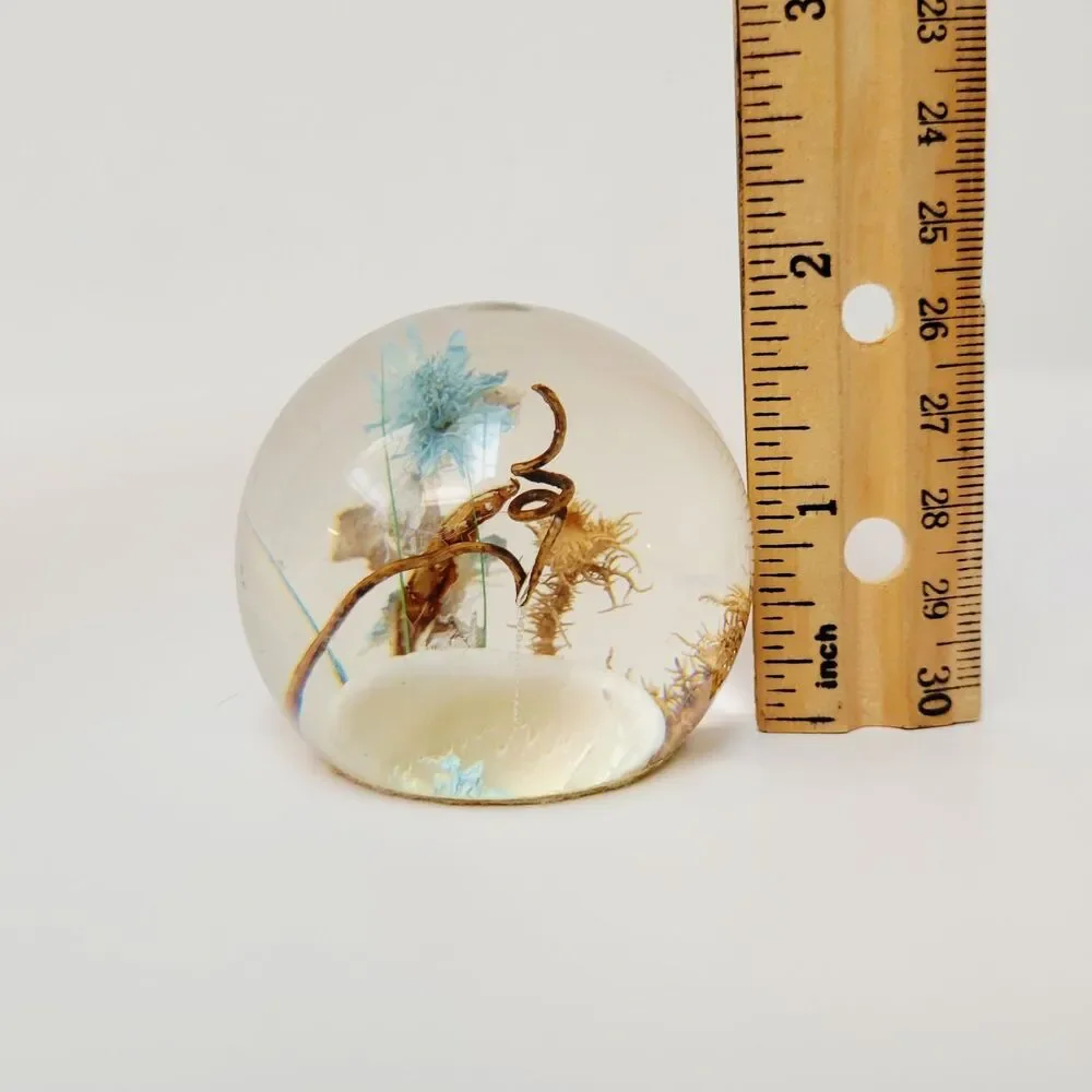Vintage Resin Botanical Paperweight Dried Flowers Shell Clear Orb Sphere 2